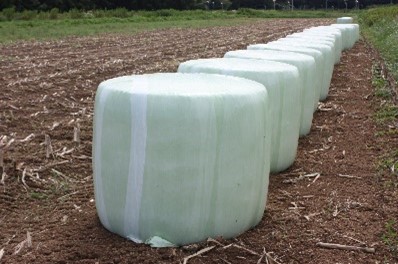 ラッピングしたロールベールサイレージ