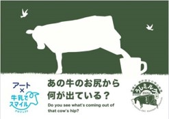 kammy+ok! 活動報告