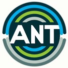 ant
