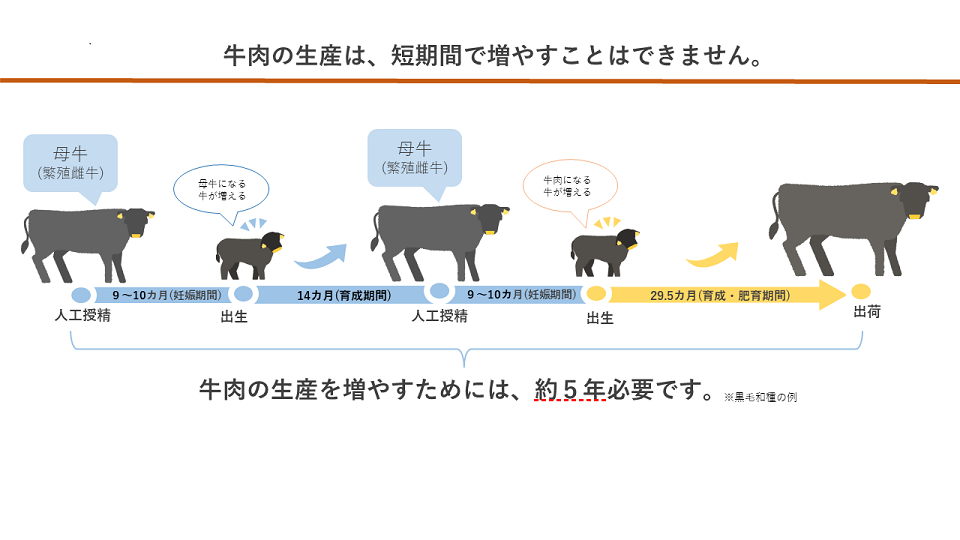 水牛の角　昇り龍　農林水産省検疫済み 水牛の角 昇り龍 農林水産省検疫済み - メルカリ