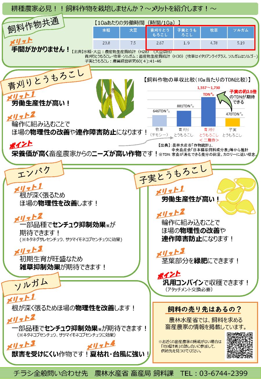 裏面