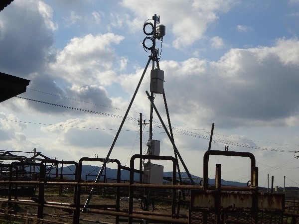 放牧5 - コピー.jpg