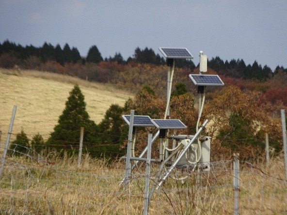 放牧4 - コピー.jpg