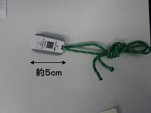 図1 - コピー.png