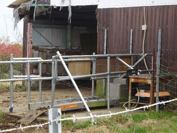 放牧3 - コピー.jpg