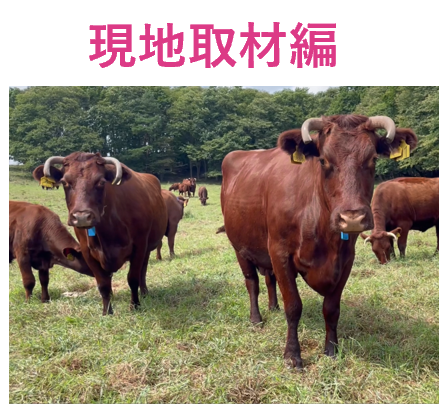 現地取材編