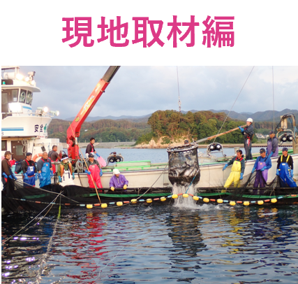 現地取材編
