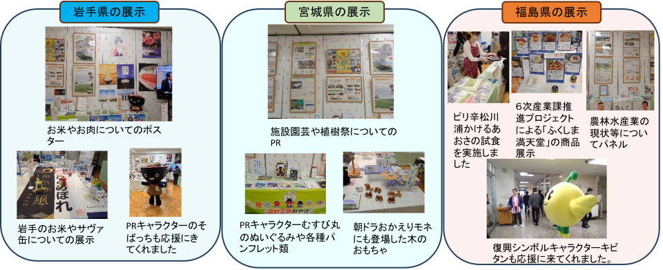 展示の様子