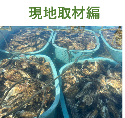 現地取材編