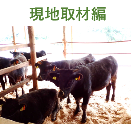 現地取材編