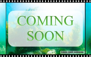 わかめ養殖についての動画は後日公開いたします