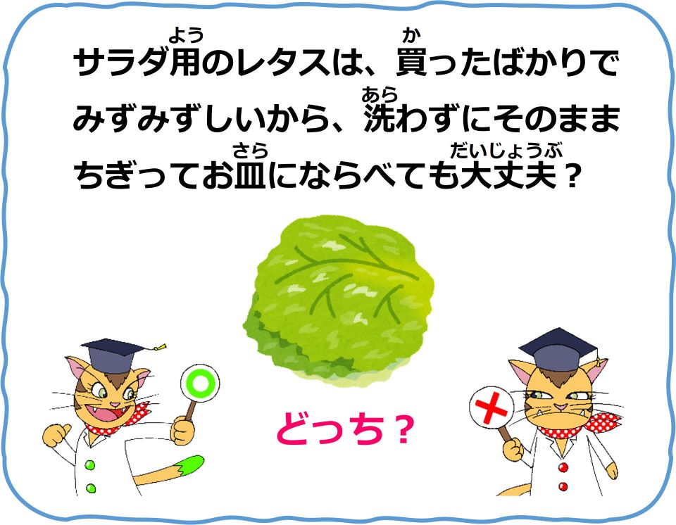 食品安全〇×クイズ　Q2