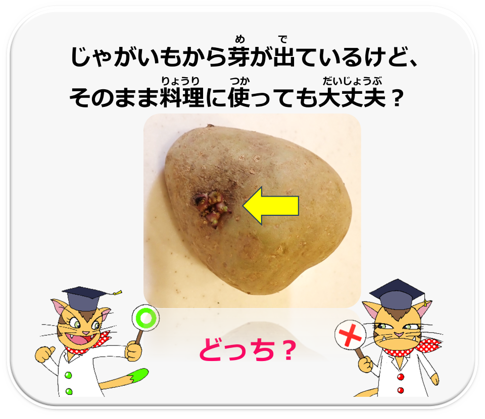 q10.png