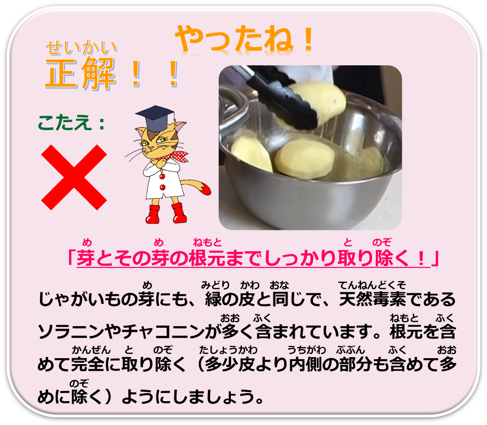 q10_batu.png