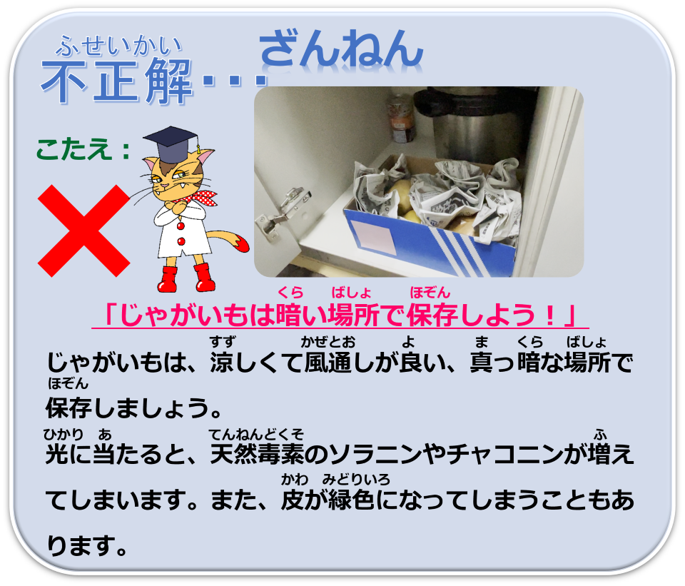 q2_maru.png