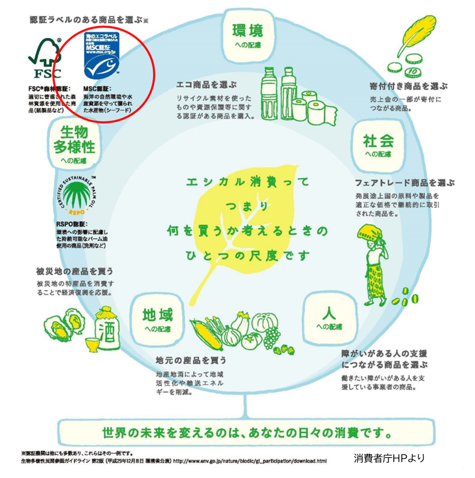 環境への配慮