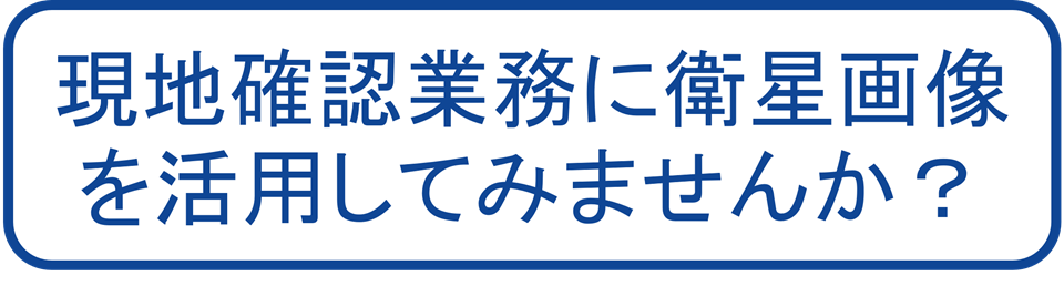 現地確認業務に衛星画像を活用してみませんか?