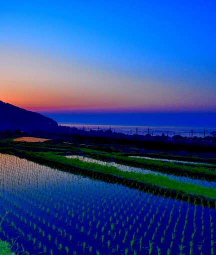 農村風景画像