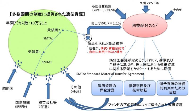 MLSの仕組みを示した図