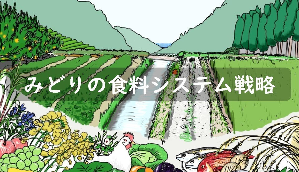 みどりの食料システム戦略