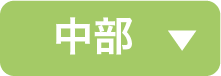 中部