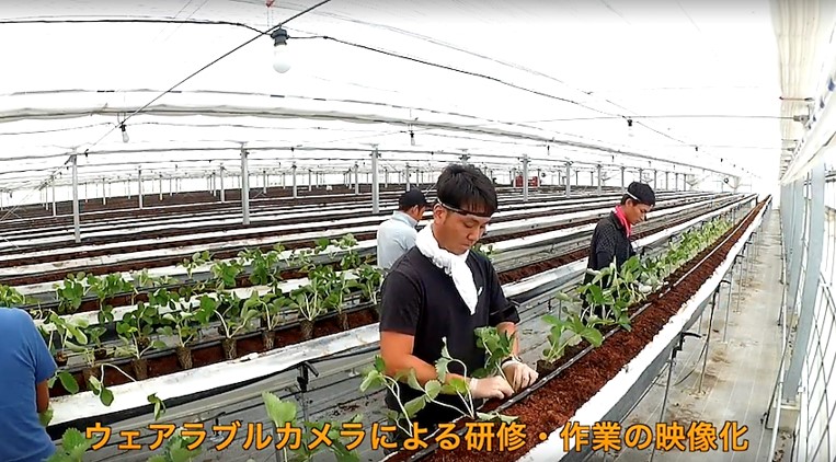 ウエアラブルカメラによる研修・作業の映像化