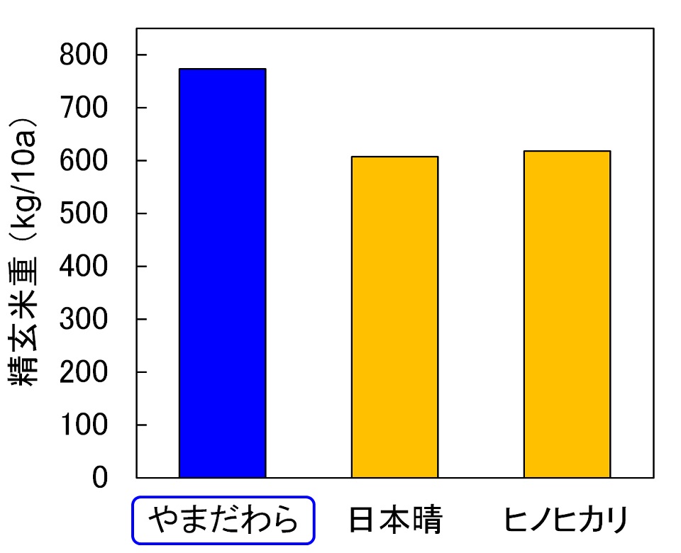 業務・加工利用向け水稲品種「やまだわら」多収栽培マニュアル：農林水産省