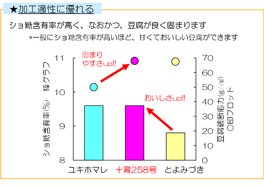 豆腐加工適性の比較
