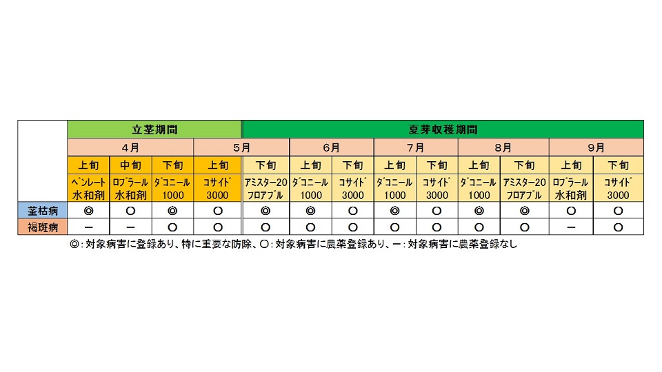 グラフ