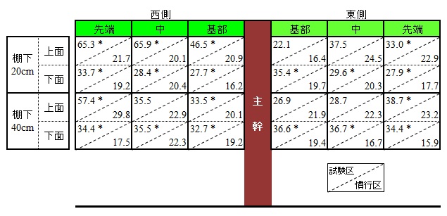 棚下の積算日射量の図