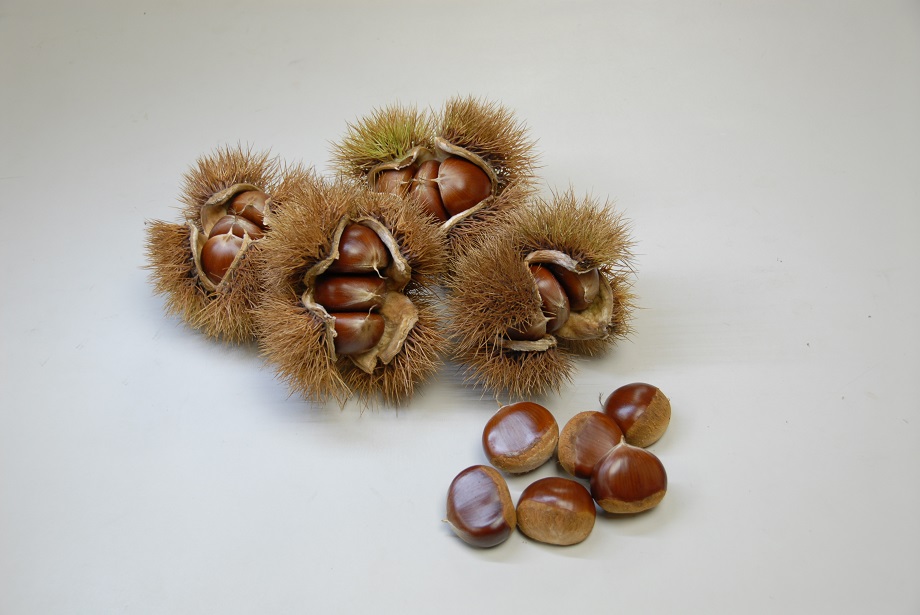 美玖里の果実の写真