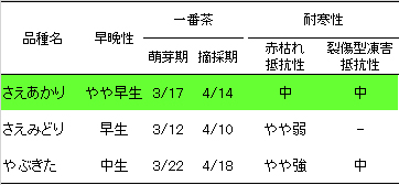 早晩性と耐寒性の比較表