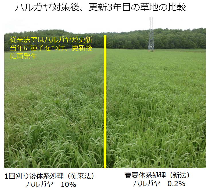 ハルガヤ対策後、更新3年目の草地の比較の写真