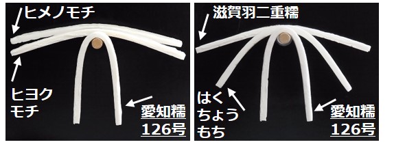 硬化性の比較