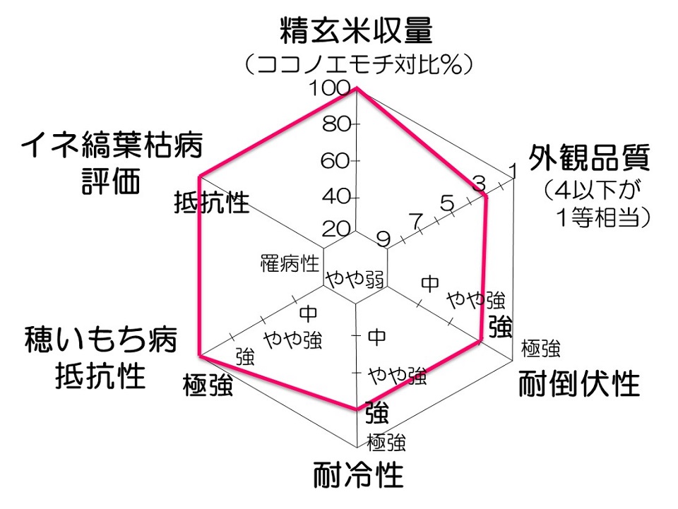 愛知糯の評価
