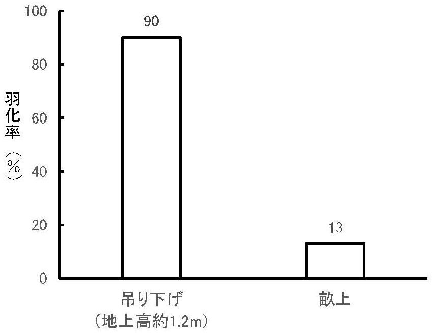 設置法と羽化率の関係