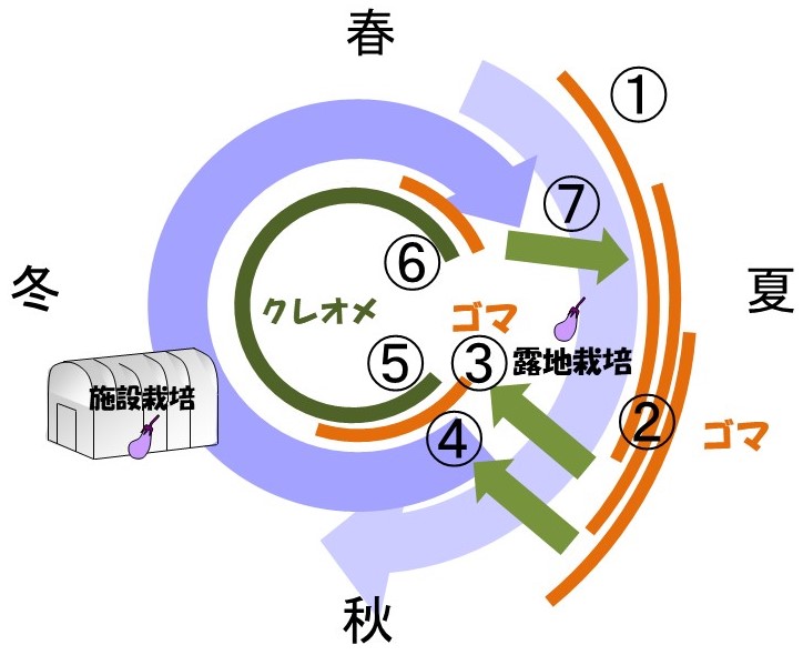 ゴマまわしのイメージ図