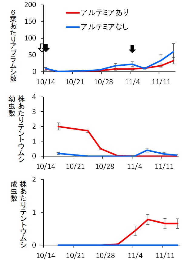 アルテミアの効果