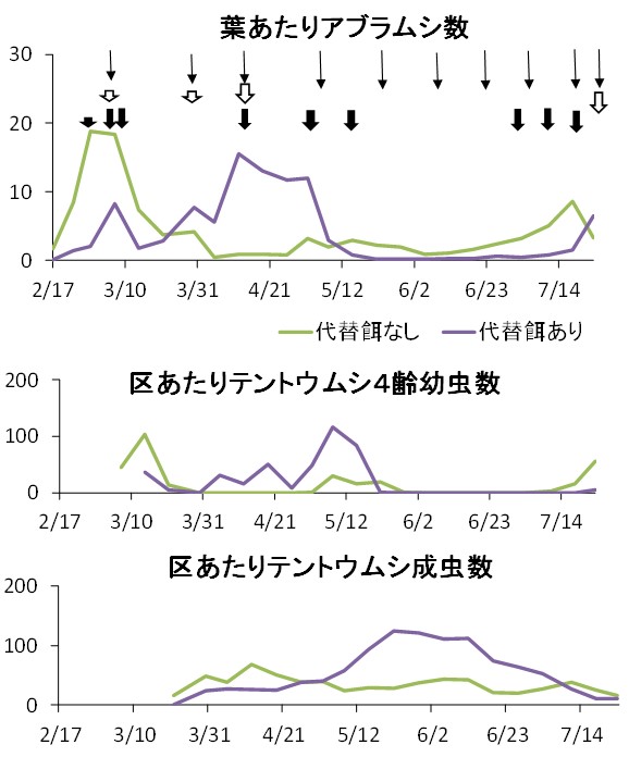アザミウマの発生推移