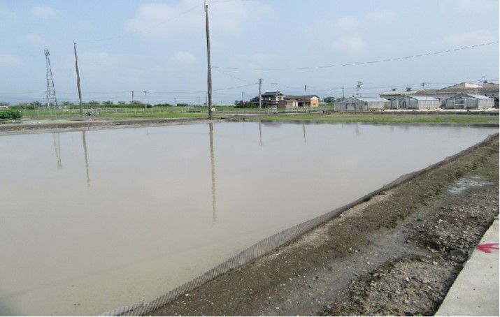 湛水の写真