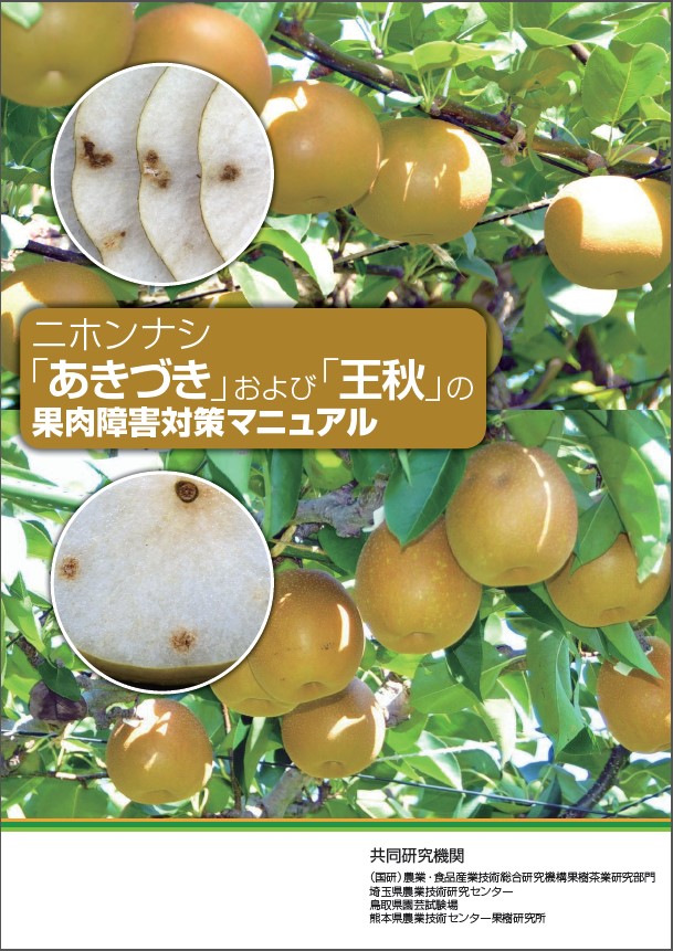 マニュアル表紙