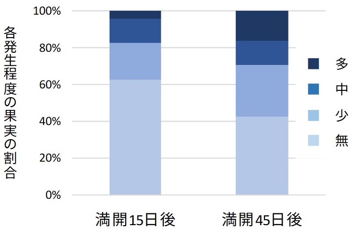 摘果時期と障害