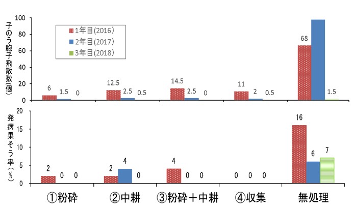 落葉処理の効果