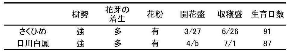 さくひめの樹勢