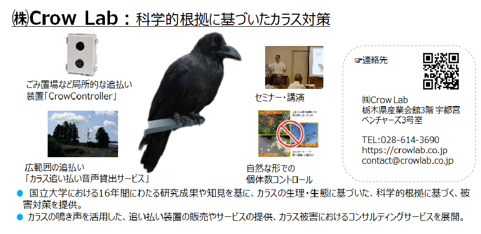 (株)Crow Lab