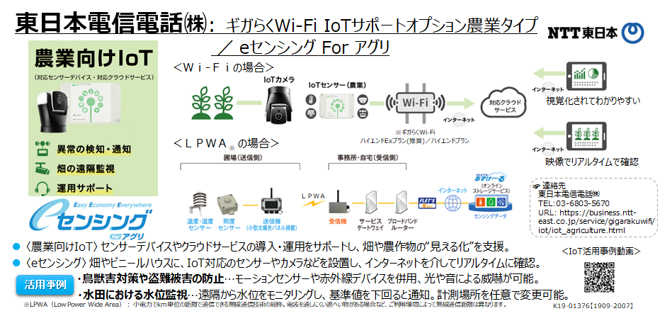 東日本電信電話(株)