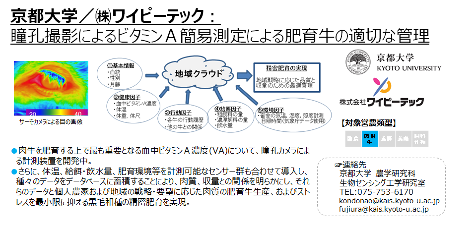 京都大学/(株)ワイピーテック