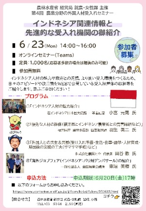 チラシ
