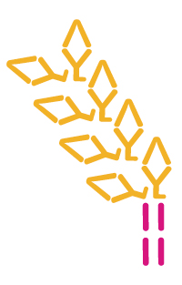 ロゴ１