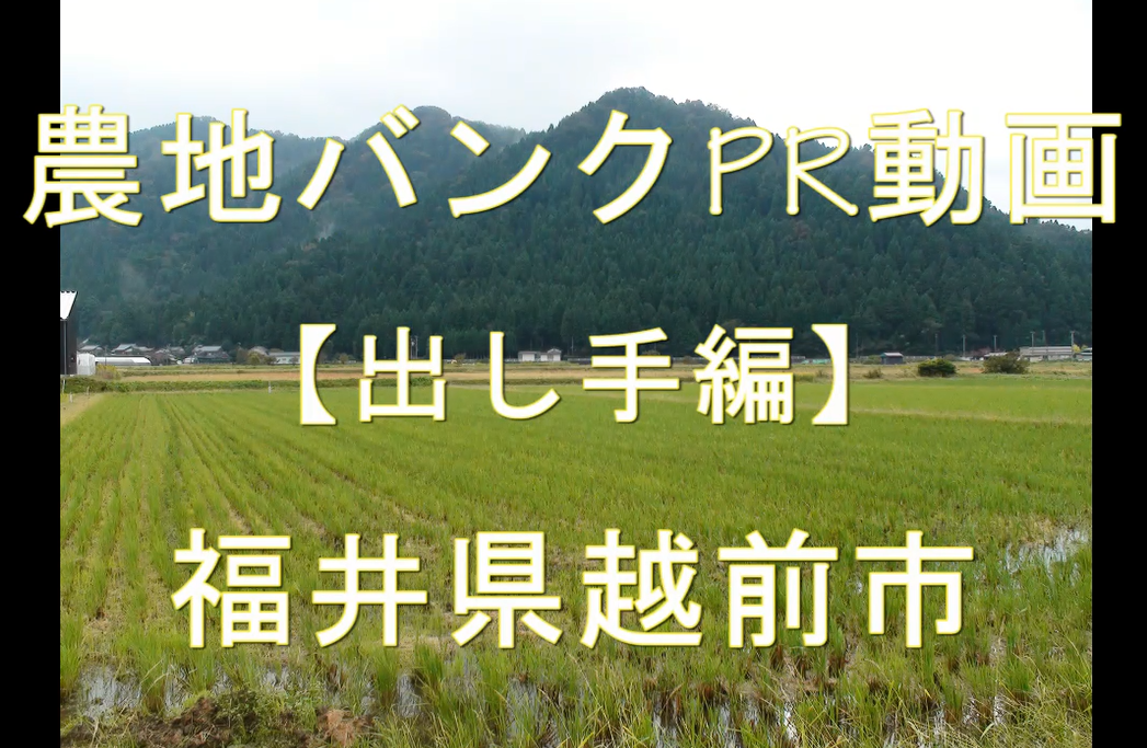 福井県越前市・出し手編